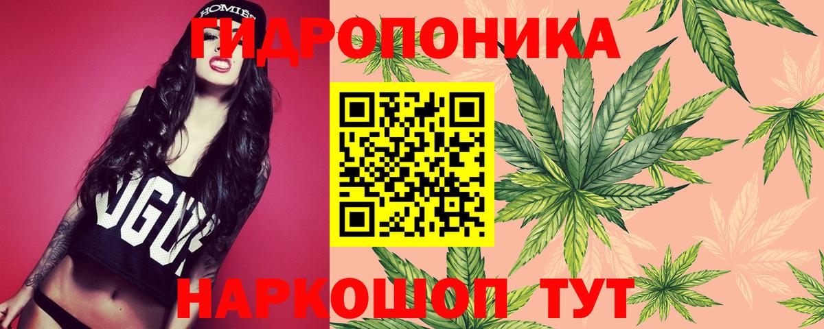 Канабис семена  Бошки марихуана AK-47  Конопля Bruce Banner  Канабис Ganja  Вход с VPN  Биробиджан 